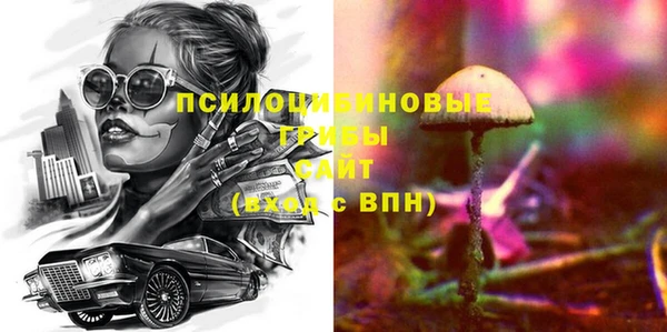 ГАЛЛЮЦИНОГЕННЫЕ ГРИБЫ Верея