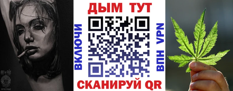 Бошки марихуана сатива  Выборг 
